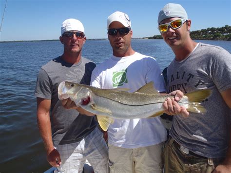 Great Day Of Charter Fishing In Tampa Bay Fun Flats Fishing Tampa