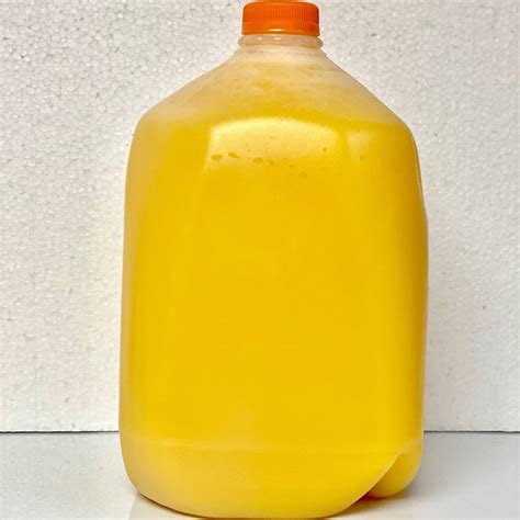 Orange Juice 1 Gallon Teddy Bear Fresh Produce