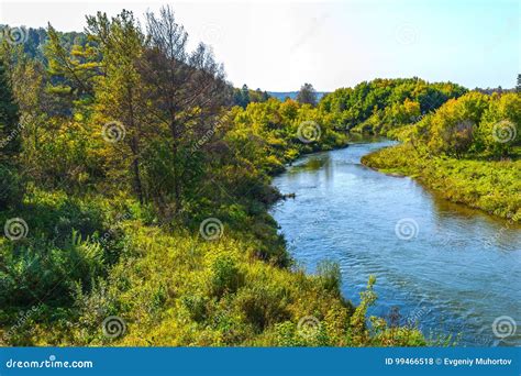 Gold River Suenga A Tributary Of The River Berd Siberia Ru Stock