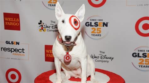 The Truth About Targets Mascot Bullseye