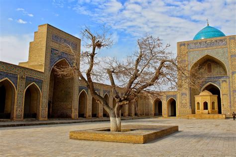 Sogda Tour Travel And Discover In Uzbekistan With Us
