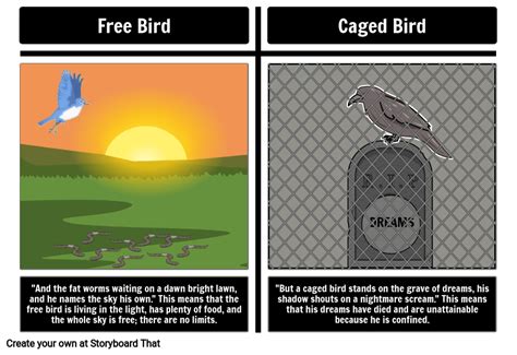 Caged Bird Vs Free Bird Storyboard Par Lauren