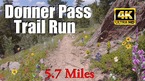 virtual trail running video for treadmill donner pass trail roosevelt national forest