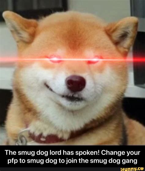 Doge Pfp Meme See More Of Doge Memes On Facebook Eradetontos