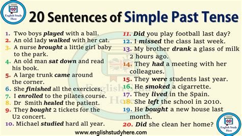 Sentences In Simple Past Tense English Study Here