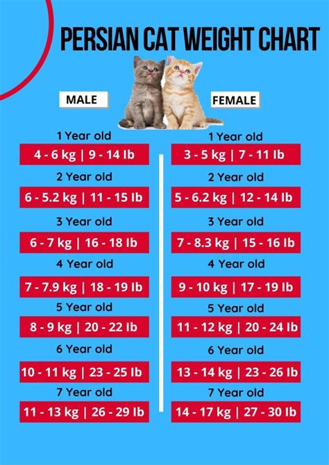 This helps you to have realistic expectations and to establish a healthy goal weight. Cat Weight Chart By Age In Kg & Ib Clean & HD Charts