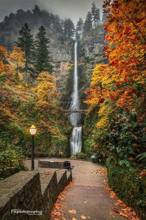 Multnomah Falls In Autumn Splendor Oregon Has Many Beautiful Falls