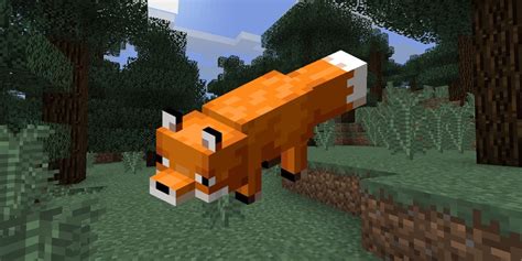 Minecraft players love making foxes as they are incredibly cute animals. How to Tame a Fox in Minecraft | Screen Rant