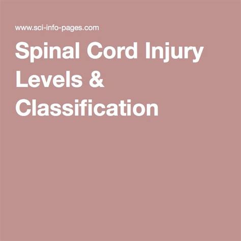 Spinal Cord Injury Levels And Classification Spinal Cord Injury Spinal