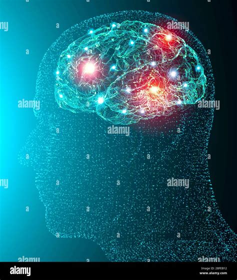 View Of The Synapses Brain Connections Neurons And Synapses