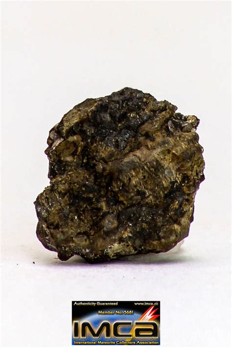 Top Rare 0135 G Nwa Unclassified Ureilite Achondrite Meteorite