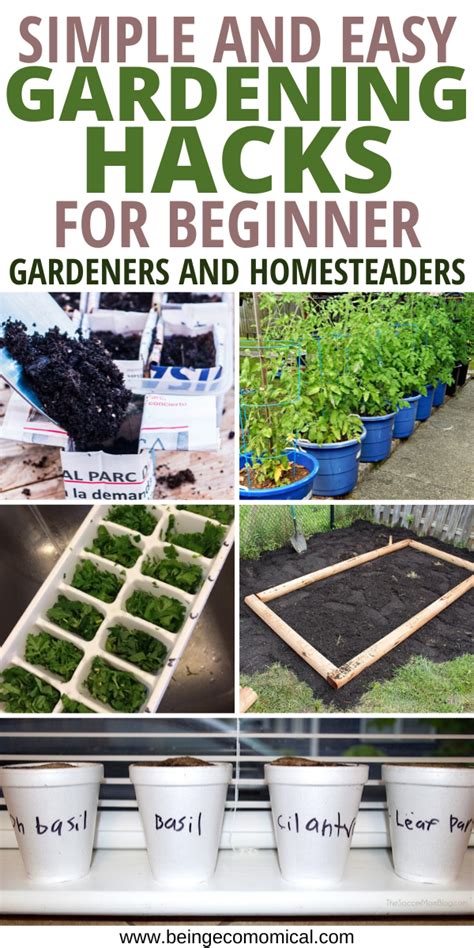 Simple Gardening Tips For Beginner Gardeners And Homesteaders