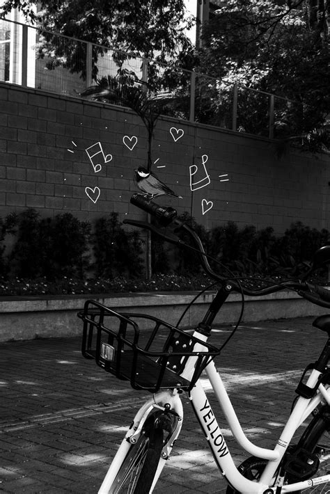 Dengan kumpulan dari banyak warna seperti pelangi dapat memperindah tampilan gambar hp dilayar hp anda. Fantastis 15+ Wallpaper Warna Hitam Putih Keren - Rona ...