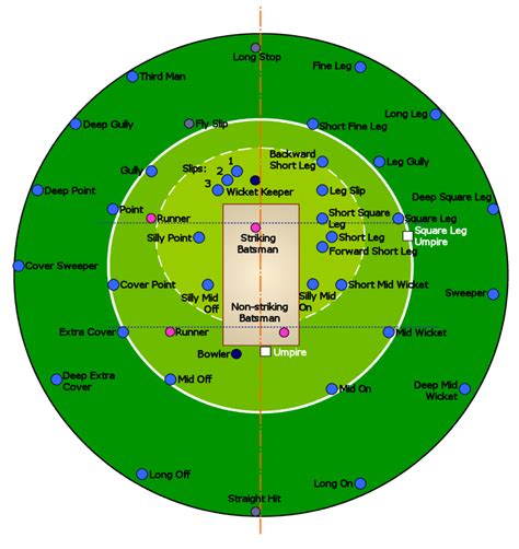 Cricket 360 Cricket Ground And Fielding Positions