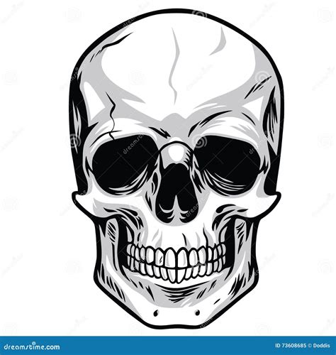 Skull Vector Stock Vector Illustration Of People Crossbones 73608685