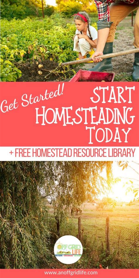 7 Ways To Start Homesteading Today Homesteading Homesteading Skills