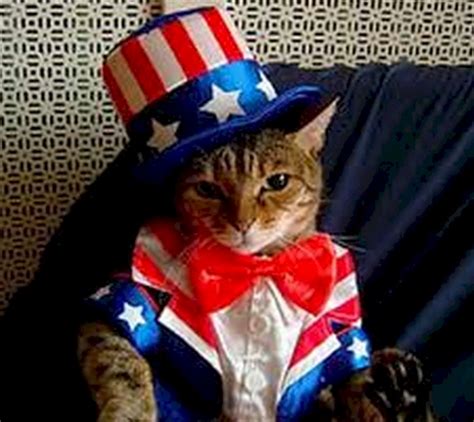 17 fourth of july jokes that are so funny, your laughter will drown out the fireworks. Patriotic Pets | Ecards for Facebook