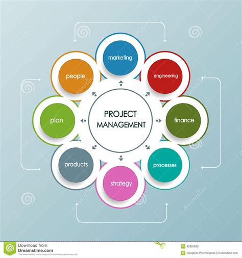 Project Management Business Plan with Circle Shape Stock Vector ...