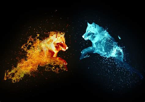 Loup Feu Et Eau Fire Vs Water Fire And Ice Twin Flame Art Yin Yang