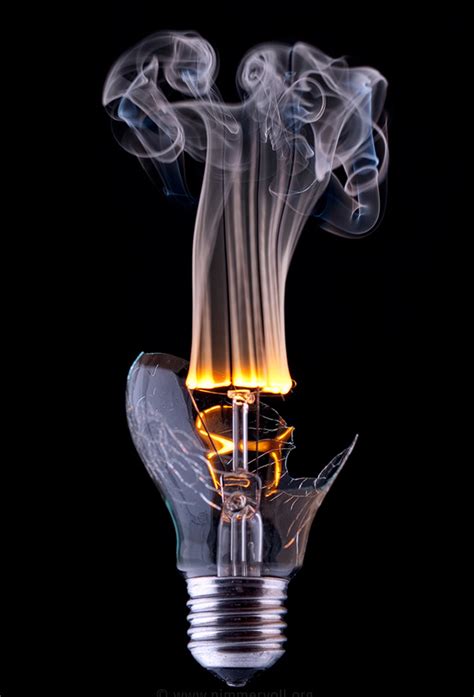 Still Life Photography - 30 Brilliant Ideas ...