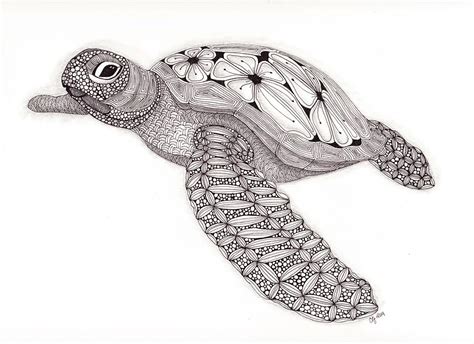 Drawings Of Sea Turtles Warehouse Of Ideas