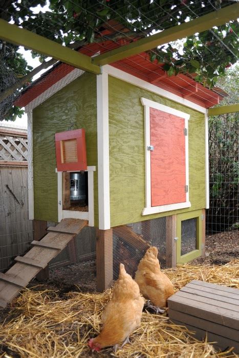 DIY Inexpensive Chicken Coop With Raised Cube Truly Hand Picked