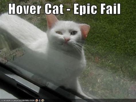 Funny Hover Cat Pictures Hover Cat Epic Fail Funny Animal