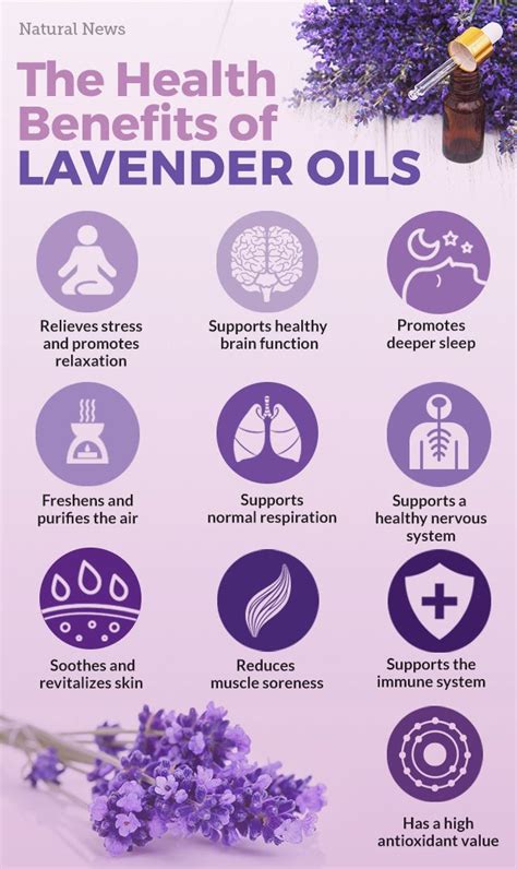 Why Lavender Is The Most Important Essential Oil To Use Right Now
