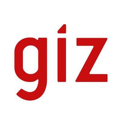 Organigrama GIZ The Official Board