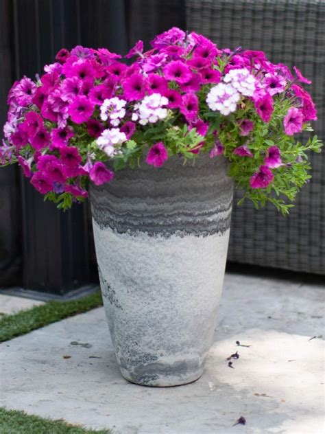 20 Best Pots And Planters 2019 Planters And Flower Pots Hgtv