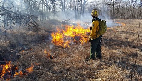 Its Fire Season — On Purpose — In The Regions Forest Preserves Cook