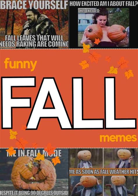 50 best fall memes 2024 to celebrate the autumn season