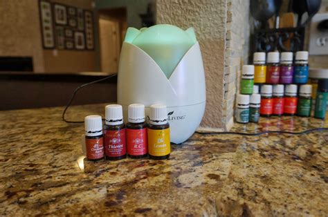 Molding Minds Homeschool Life Love Learning Why Young Living Oils