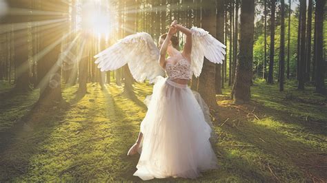 Beautiful Angel Girl Wallpapers Top Những Hình Ảnh Đẹp