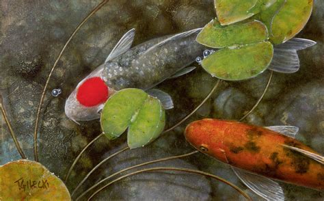 Print Gallery Archives Koi Fish Paintings By Terry Gilecki Koi