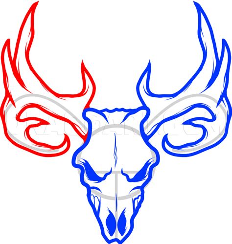 How To Draw A Deer Skull Deer Skull Tattoo Coloring Page Trace Drawing
