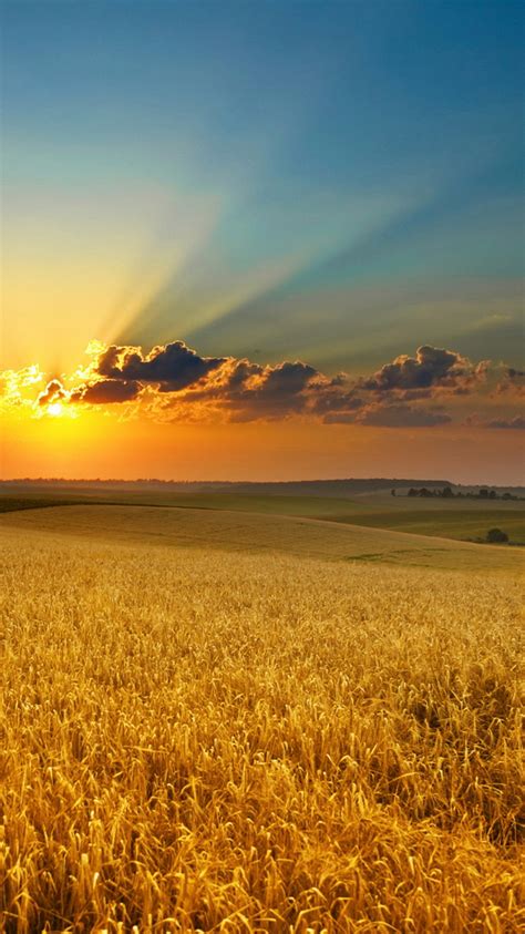 Off course we cannot change the mobile phone itself every day. 60 Beautiful Nature iPhone Wallpapers