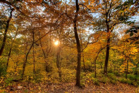 Fall Foliage At Kansas Citys Cliff Drive Eric Bowers