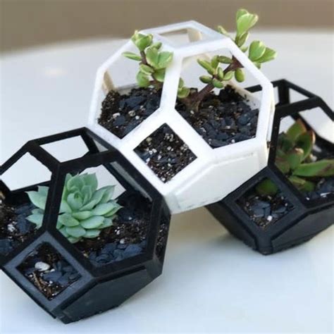 Three Black And White Planters With Succulents In Them On A Table