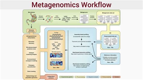 Ppt Microbiome Metagenomics Powerpoint Presentation Free Download