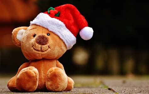 Free Images Christmas Teddy Bear Santa Hat Funny Soft Toy