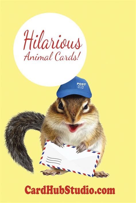 Animal Funny Birthday Cards In 2021 Cards Greeting Cards Greetings