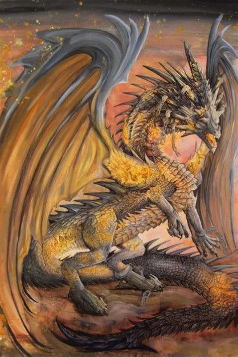 Western Dragons Dragon Pictures Fairy Dragon Beautiful Dragon