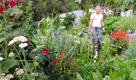150 Plants From My Permaculture Garden Our Permaculture Life