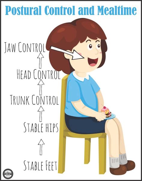 Postural Control Gross Motor Development And Mealtime Your Therapy