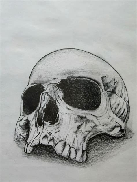 It was in tonga and samoa that the polynesian tattoo developed into a. Tattoo uploaded by Tete | Sketch 💀 #apprenticetattoos # ...