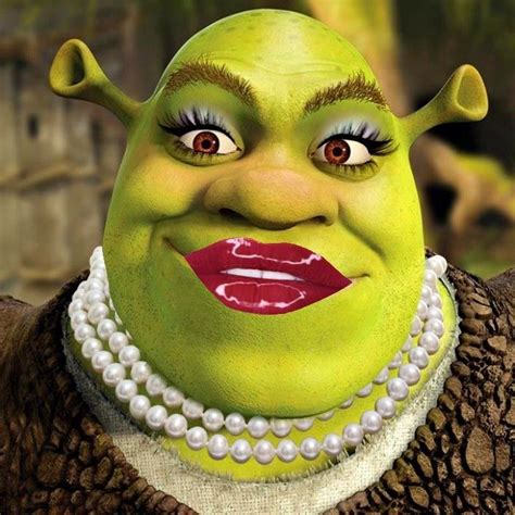 First Selfie Shrek Funny Crazy Funny Pictures Shrek Memes
