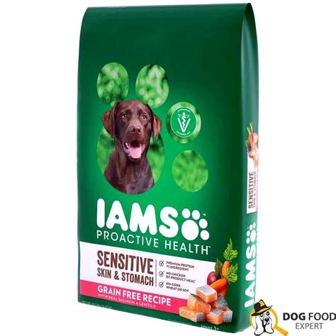Iams Allergy Dog Food Review