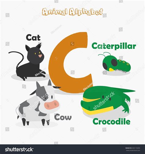 Cute Animal Zoo Alphabet Letter C Stock Vector Royalty Free 505110355
