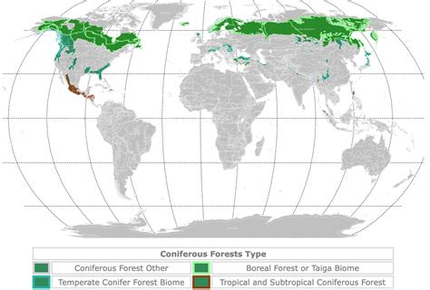 Map Of Biomes  Temperate Coniferous Forest Forest Map Sexiz Pix